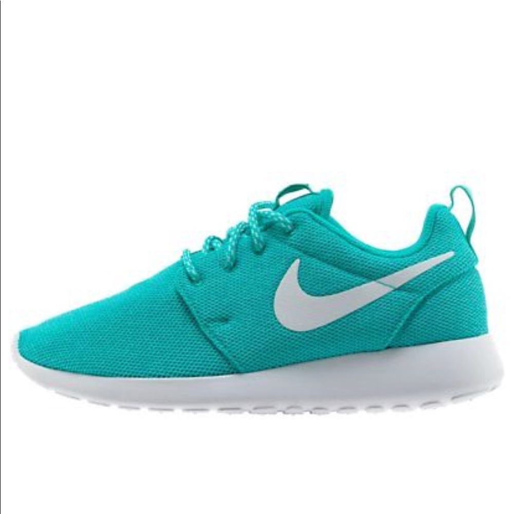 Teal Color Nike Shoes